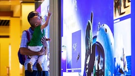 Three little pigs on stamps spark rumours of bigger Chinese families