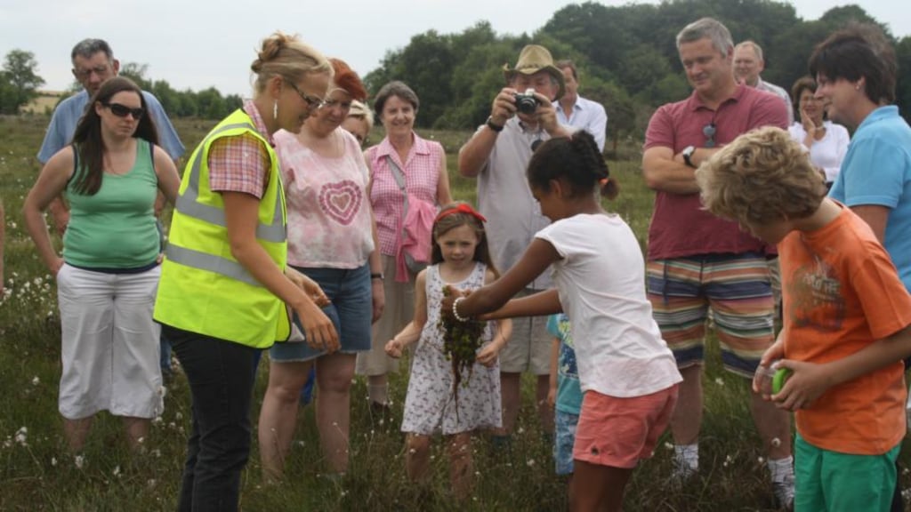 Squeezing Spaghnum: Leonie Tijsma (centre left, in yellow vest) guiding a walk on Lodge Bog, part of the Lullymore complex in Co Kildare. Photograph: Tadhg Ó Corcora