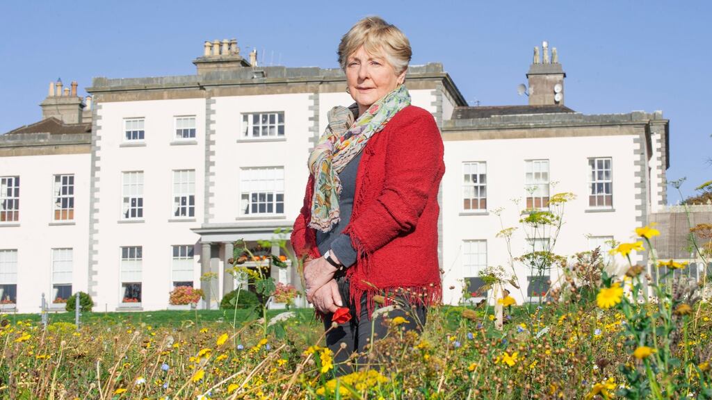 Jane O’Callaghan, owner of Longueville House, at Longueville, Ballyclough, Mallow, Co Cork. Photograph: Daragh Mc Sweeney/Provision