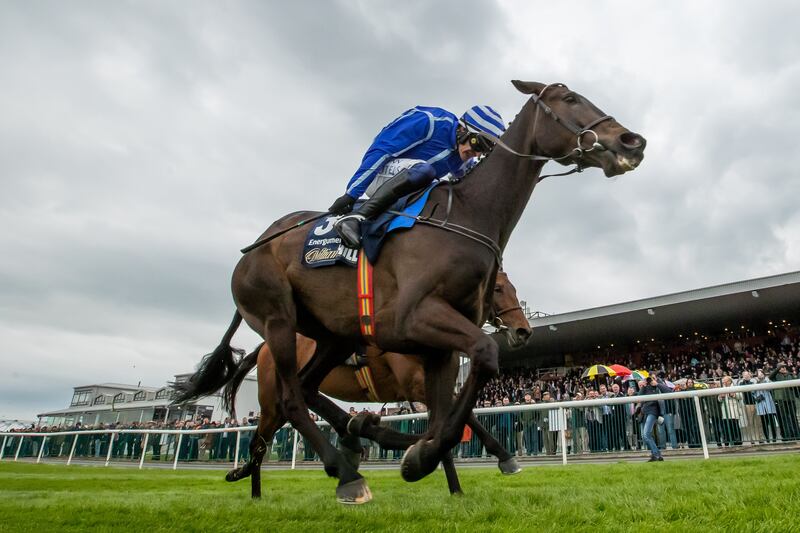 Paul Townend on Energumene wins The William Hill Champion Steeplechase (Grade 1) at Punchestown. Photograph: Morgan Treacy/Inpho