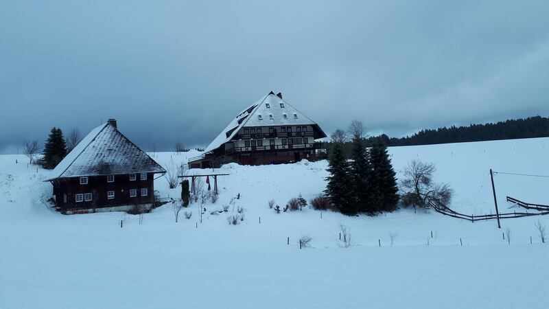 Houses covered in snow in the Black Forest in Germany.