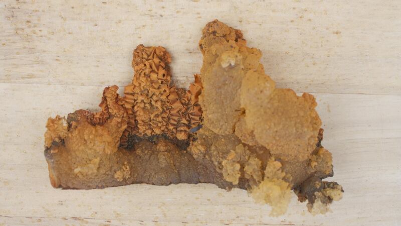 Untitled by Paul Mosse