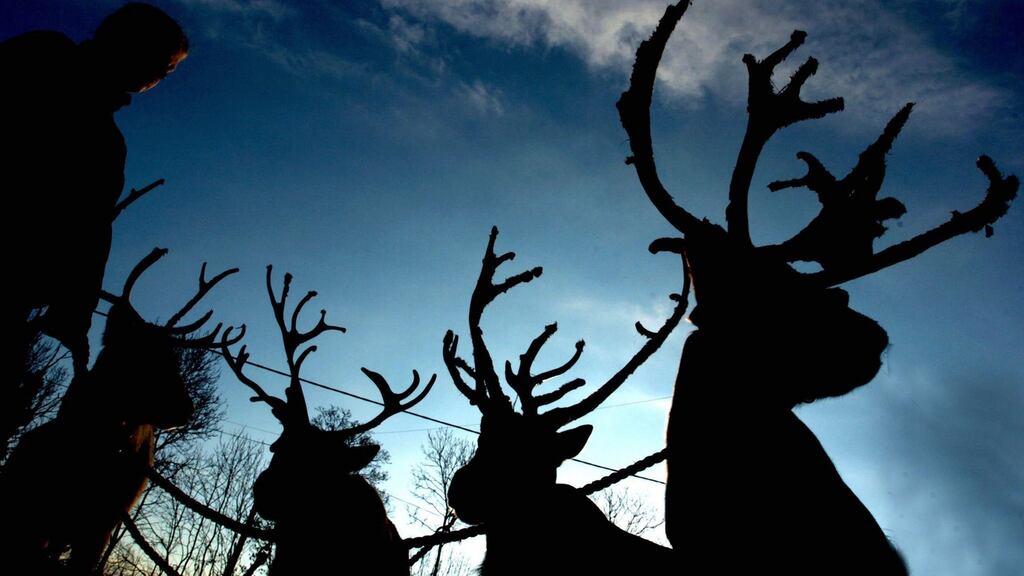 “The more we learn about reindeer, the worse it gets for Christmas-card designers.” Photograph: Chris Radburn/PA “The more we learn about reindeer, the worse it gets for Christmas-card designers.” Photograph: Chris Radburn/PA