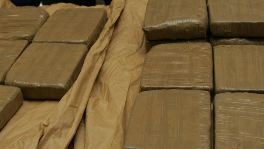 Judge Mary Ellen Ring e pair in custody after hearing evidence last February to allow the men the opportunity to supply clean drug tests to the court before sentencing. Photograph: Bryan O’Brien