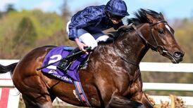 Aidan O’Brien: Bolshoi Ballet ‘very hard to overlook’ for Derby