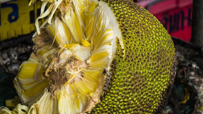 JACKFRUIT