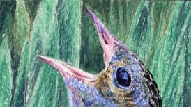 How the west gave a poet his dream and identity