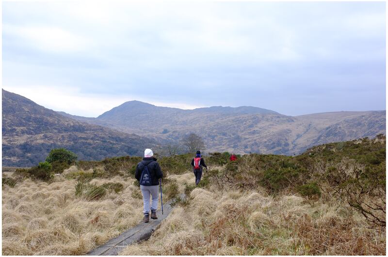 Hillwalkers make their way through Killarney National Park. Photograph: Bryan O'Brien
