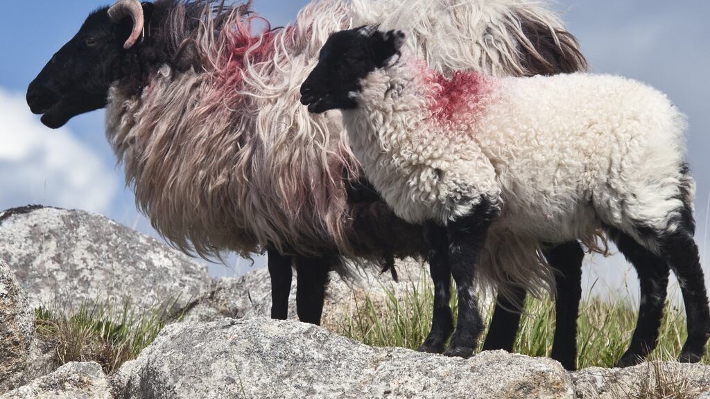 Photograph: Tim Graham/Getty Images