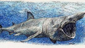 Another Life: Counting values for nature as well as GDP