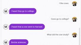 Is Google’s new chatbot a person?