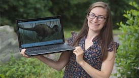 Walk like a dinosaur in wellies for science