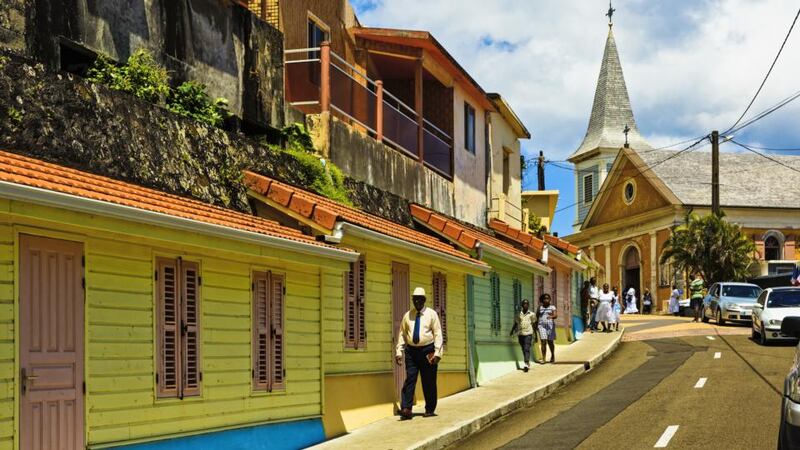 Martinique: visitors to the Caribbean are increasingly picking up a nasty souvenir