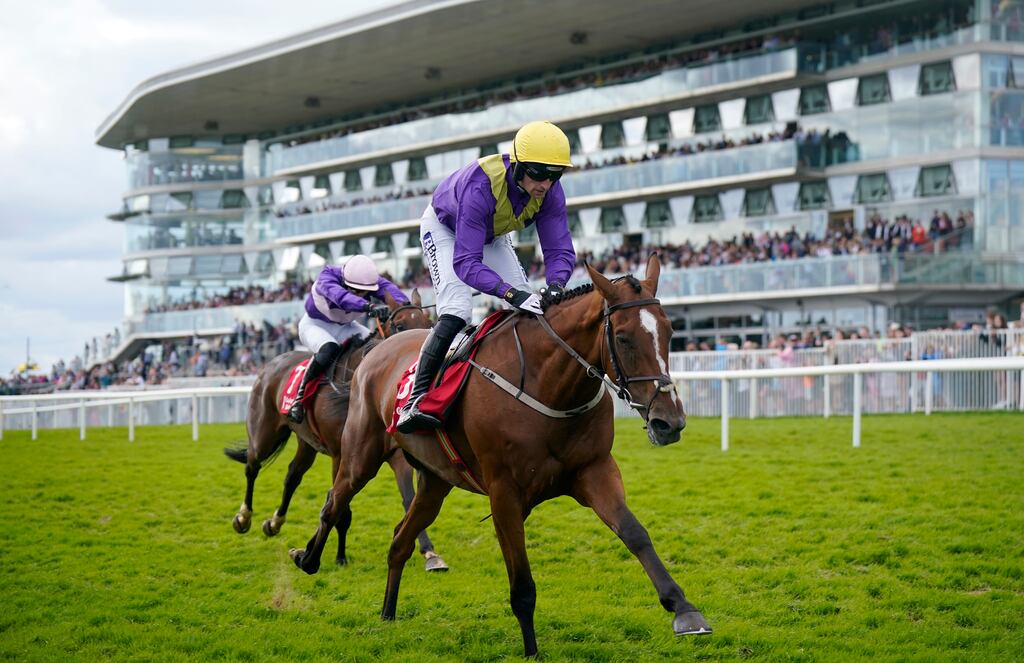 Bookmaker expectation appears to be that Willie Mullins’s You Oughta Know is the most likely of the 18 runners to win. Photograph: Niall Carson/PA