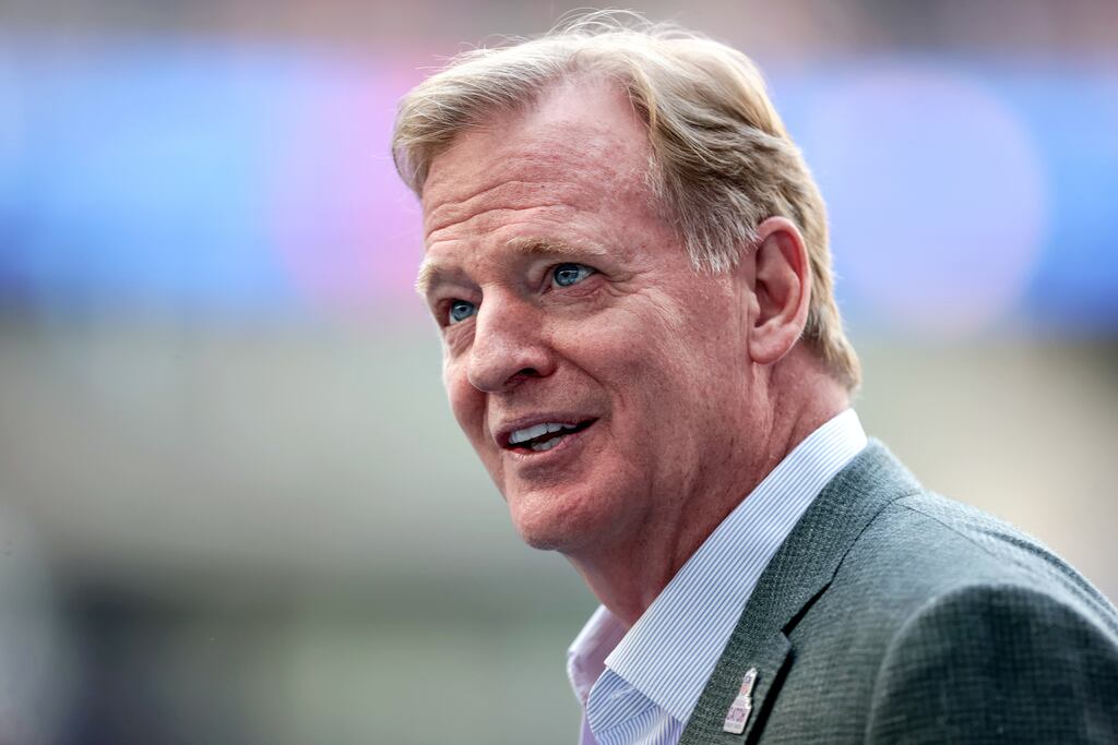 NFL commissioner Roger Goodell attends the game. Photograph: Laszlo Geczo/Inpho