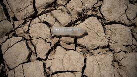 Thinking Anew: We ignore the prophets at our peril