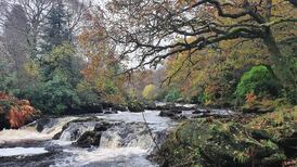 ‘Following the river has led me into a rich treasure trove of hidden histories’