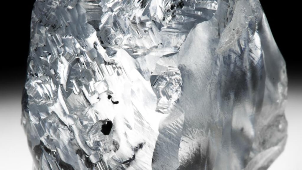 Petra said the diamond was purchased by a partnership comprising itself and a polishing partner, who wished to remain anonymous