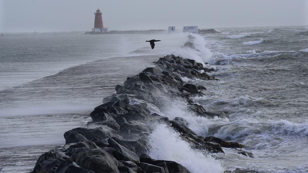 A cormorant flies over the South Wall as storm Ophelia builds off the East Coast. The story fascinated a public obsessed with meteorological matters. Photograph: Cyril Byrne