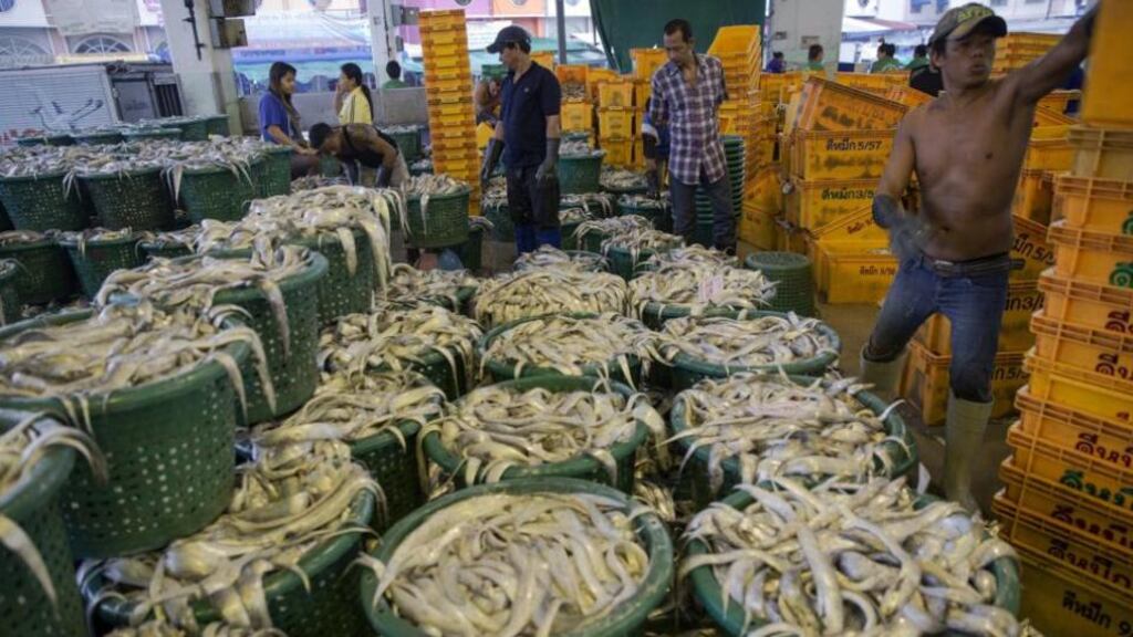 Workers sort fish at a wholesale market for fish and other seafood in Mahachai, in Thailand’s Samut Sakhon province. Photograph: Damir Sagolj/Reuters