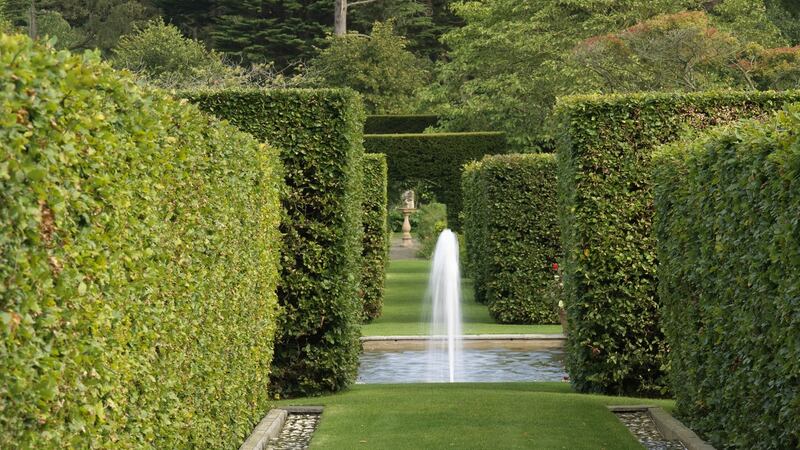 The wonder of a walled garden