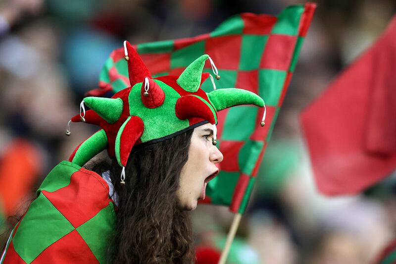 A Glen fan makes her presence felt at Croke Park on Sunday. Photograph: Laszlo Geczo/Inpho