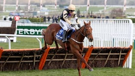 Willie Mullins rules Yorkhill out of Champion Hurdle switch