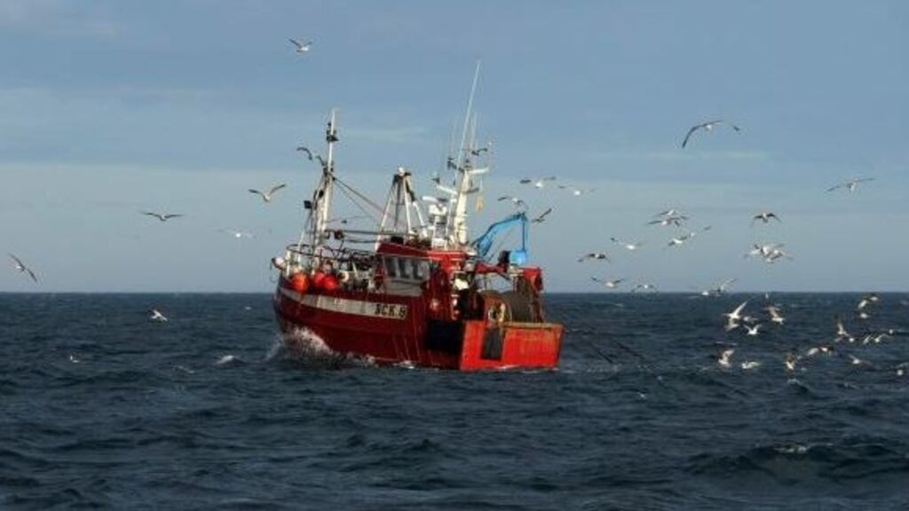 Sean O’Donoghue, chief executive of the Killybegs Fishermen’s Organisation: ‘It can’t work. You are really going back to the stone age in terms of weighing.’ File photograph: William Edwards/AFP