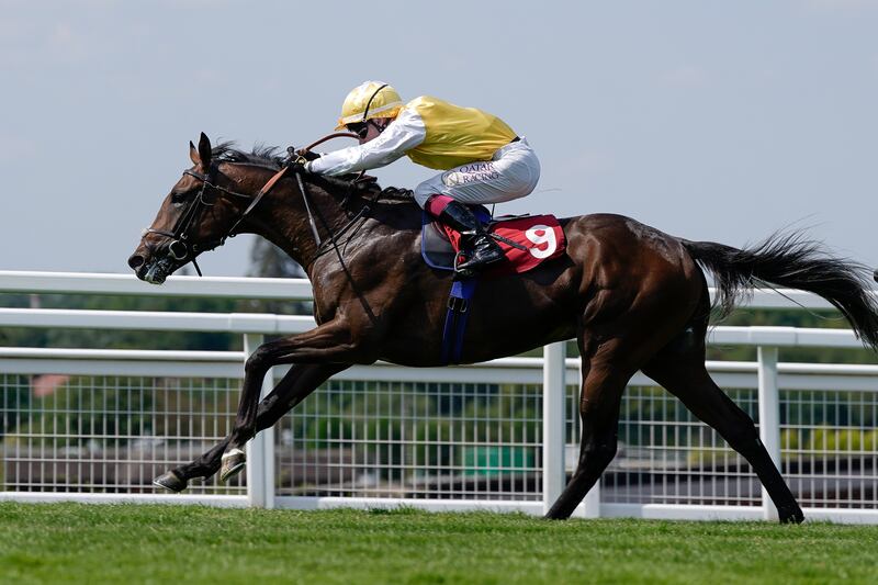 Oisín Murphy riding Sunway to win the Chasemore Farm British EBF Maiden Stakes at Sandown Park in June, Photograph: Alan Crowhurst/Getty Images
