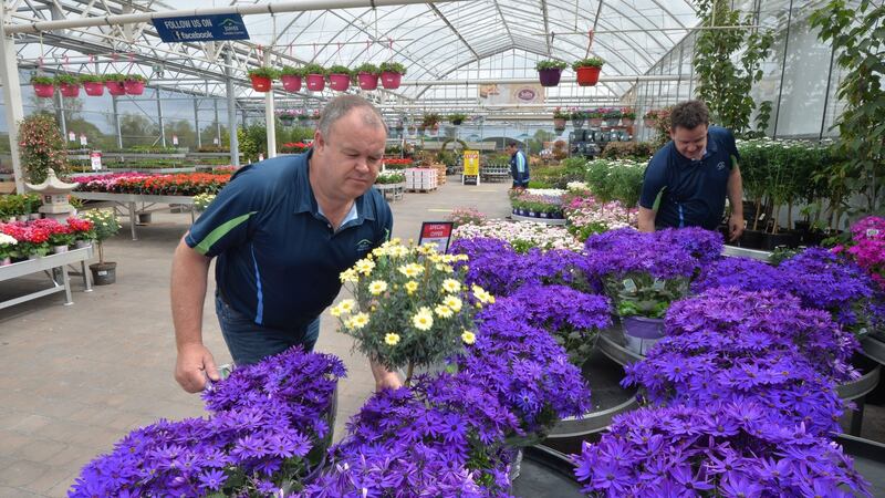 Carl Jones (left): ‘The suppliers panicked and started selling to supermarkets. It was tough for us to get plants because they’d all gone to supermarkets and garages.’ Photograph: Alan Betson/The Irish Times