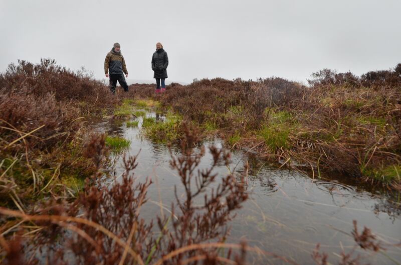 A blanket bog restoration project near the Kippure Gate, Military Road in the Wicklow Mountains National Park. Photograph: Alan Betson