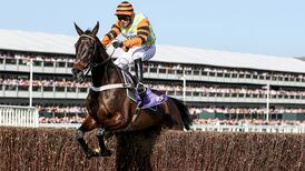 Nicky Henderson: Might Bite won’t run again until Cheltenham