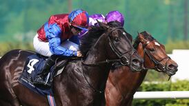 Irish Derby hero Los Angeles returns to action in Great Voltigeur Stakes at York