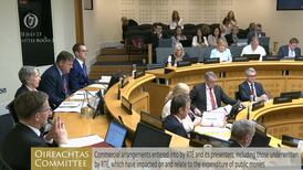 The Irish Times view on the role of Oireachtas committees: a need to focus their efforts