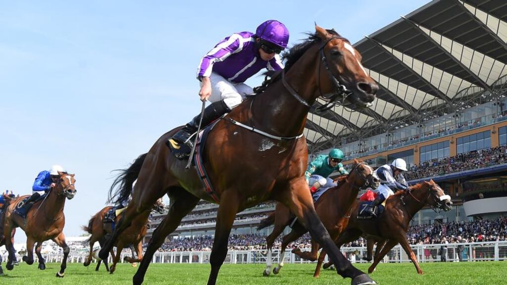 Ryan Moore on Highland Reel. The Aidan O’Brien-trained horse will attempt to repeat his 2015 victory in the mile and a half Vase in Hong Kong.  Photograph: Getty Images