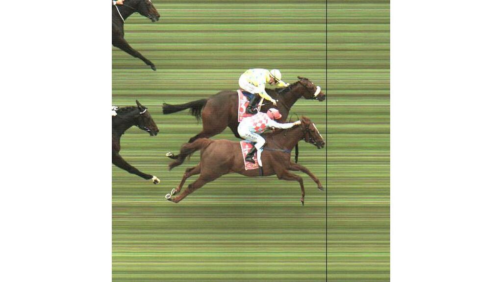 Christophe Lemaire (top) riding Dunaden beats Michael Rodd riding Red Cadeaux to win the Melbourne Cup at Flemington racecourse in Melbourne this morning. French stayer Dunaden prevailed in a thrilling sprint to the line to win. - (Photograph: Reuters)