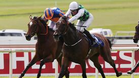 Diamondsandrubies drives home to take Pretty Polly Stakes