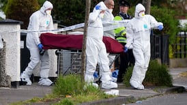 Dublin criminal expected to seek revenge for Hamid Sanambar murder