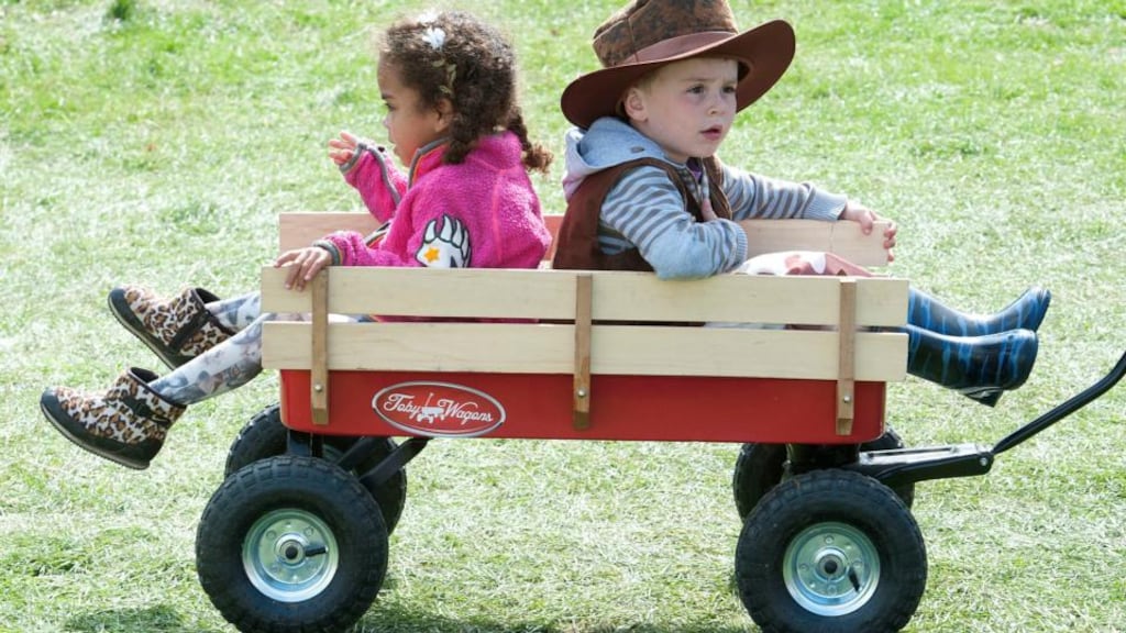 Plan to leave for your journey to Electric Picnic. Rosa Walsh (3) and Cillian Bowe (4) from Errill, Co Laois arrive in style last year. Photograph: Dave Meehan