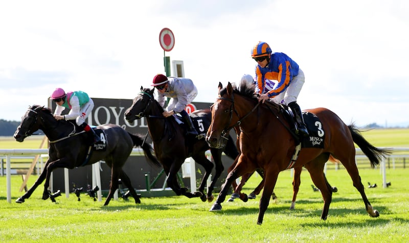 Lake Victoria, with Wayne Lordan on board, wins the Moyglare Stud Stakes at the Curragh in September. Photograph: James Crombie/Inpho