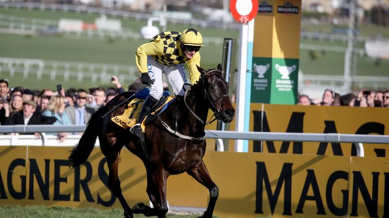 Al Boum Photo is bidding for a hat-trick of Gold Cup wins at Cheltenham. Photograph: Dan Sheridan/Inpho