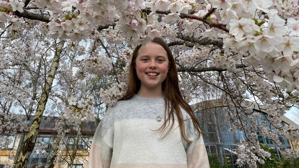 In this short story by Emily Farrell, Fungie the dolphin leaves his beloved Dingle Bay to help sea creatures in need