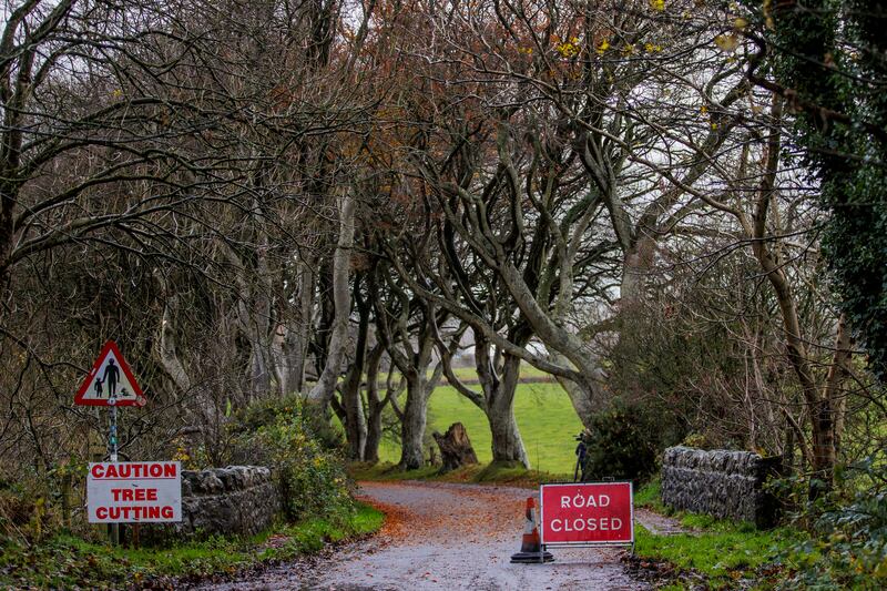 The Dark Hedges as workmen begin the operation to remove a number of trees. Photograph: Liam McBurney/PA