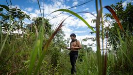 ‘This may gain us respect’: The Indigenous Guard members who rescued Colombia’s missing children