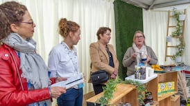 The year-round taste movement