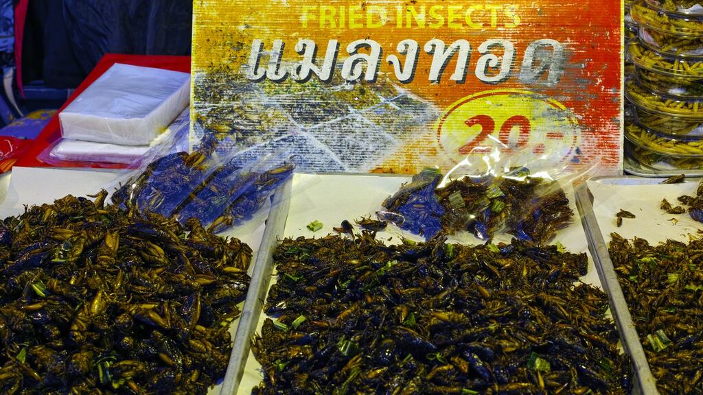 Fried insects – which are very high in protein – for sale in downtown Chiang Mai, Thailand.