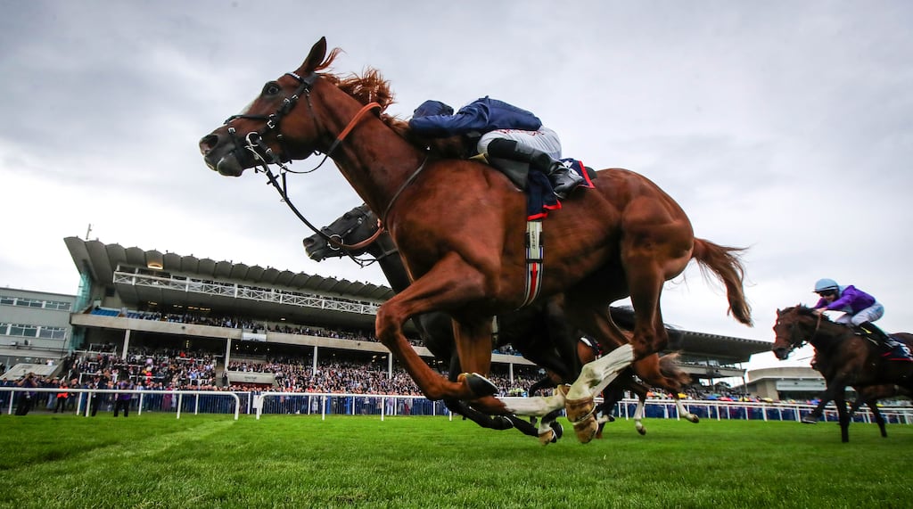 Tom Marquand onboard Economics crosses the line to win at Leopardstown. Photograph: Ryan Byrne/Inpho