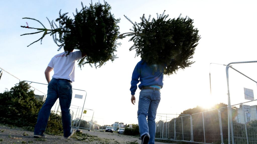 Many local authorities are accepting them for recycling free of charge, albeit for limited periods. Photograph: Cyril Byrne/The Irish Times.