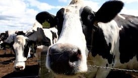 Creed pledges to ‘frustrate and thwart’ beef deal as it currently stands