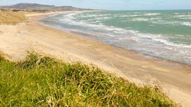 Nature diary: Brittas Bay biodiversity